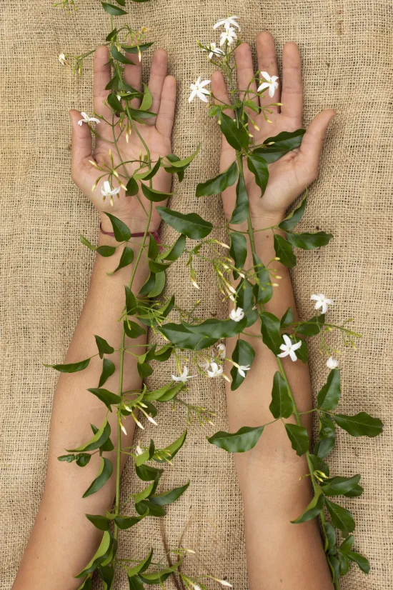 Diseño biofílico: Conectando espacios con la naturaleza